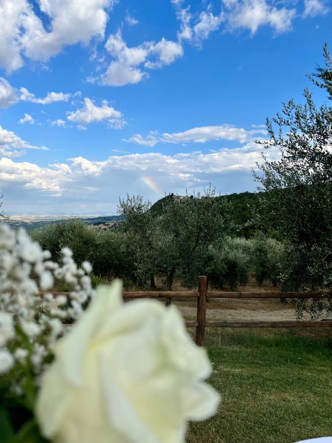 Agriturismo Belagaggio Montefollonico Exterior photo