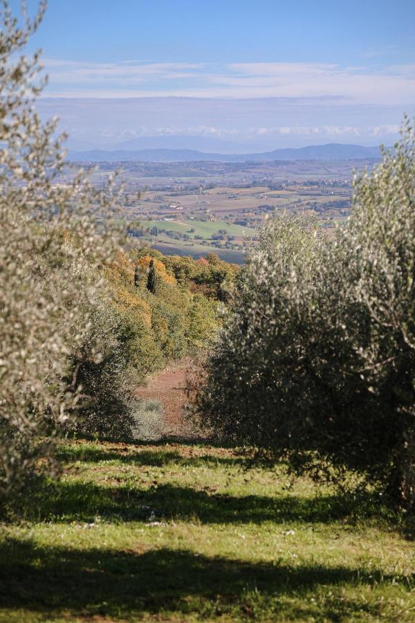 Agriturismo Belagaggio Montefollonico Exterior photo